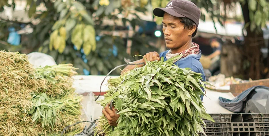 Our herbicides like Winsta 30% WP and Double Star 30% WP effectively control broadleaf and grassy weeds in rice fields — giving your crop the space and nutrients it needs to thrive without competition.