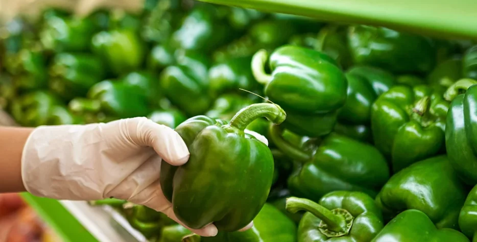 Sulphur 80% WG is our flagship fungicide — an imported, broad-spectrum solution that controls fungal diseases across fruits, vegetables, and grain crops. Protect your produce from powdery mildew and other threats.